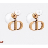 Lower Price Dior Earrings CE6194