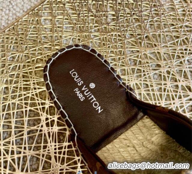 Best Quality Louis Vuitton Monogram Canvas Espadrille Flat Mules with Square LV Buckle Brown 011117