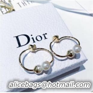 Best Price Dior Earrings CE6247