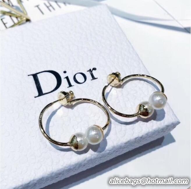 Best Price Dior Earrings CE6247