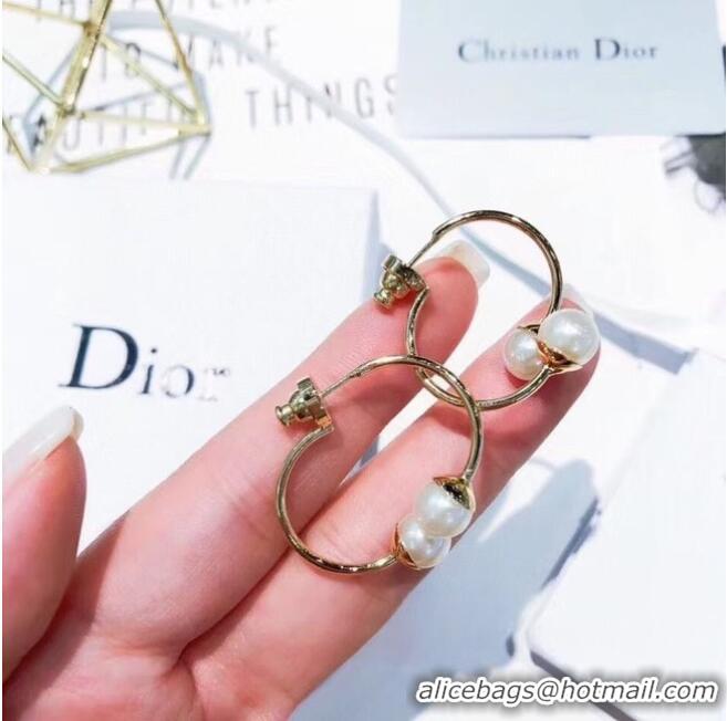 Best Price Dior Earrings CE6247