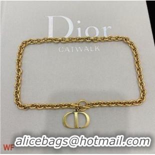 Top Quality Dior Necklace CE6256