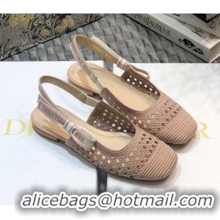 Elegant Dior x Moi Slingback Ballerinas Flats in Nude Cannage Embroidered Mesh 111303