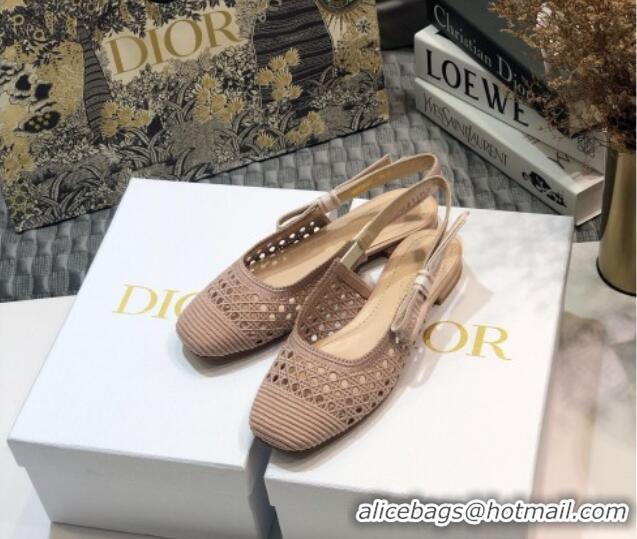 Elegant Dior x Moi Slingback Ballerinas Flats in Nude Cannage Embroidered Mesh 111303