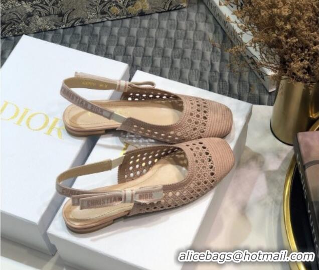 Elegant Dior x Moi Slingback Ballerinas Flats in Nude Cannage Embroidered Mesh 111303