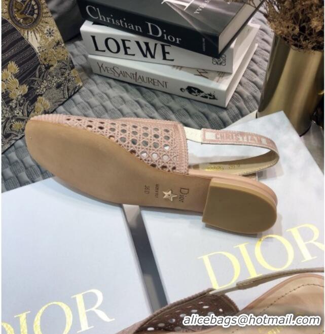 Elegant Dior x Moi Slingback Ballerinas Flats in Nude Cannage Embroidered Mesh 111303