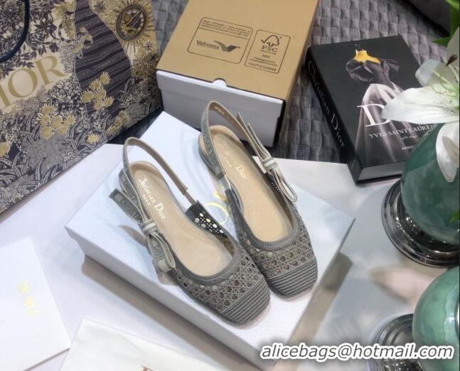 Good Product Dior x Moi Slingback Ballerinas Flats in Grey Cannage Embroidered Mesh 012728