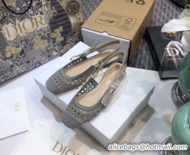 Good Product Dior x Moi Slingback Ballerinas Flats in Grey Cannage Embroidered Mesh 012728