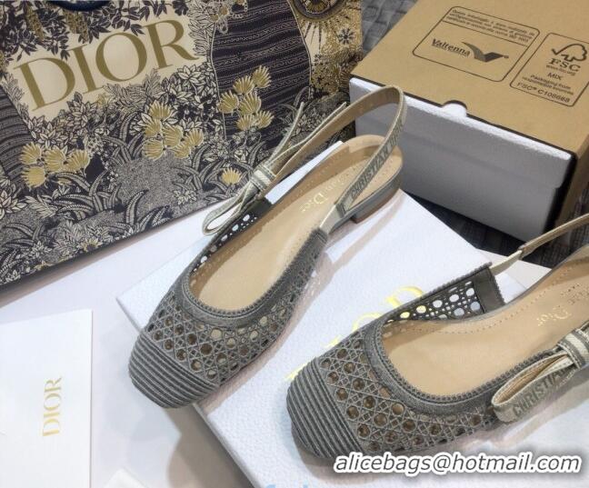 Good Product Dior x Moi Slingback Ballerinas Flats in Grey Cannage Embroidered Mesh 012728