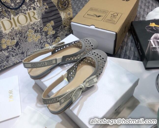 Good Product Dior x Moi Slingback Ballerinas Flats in Grey Cannage Embroidered Mesh 012728