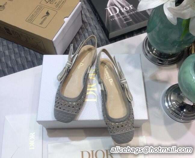 Good Product Dior x Moi Slingback Ballerinas Flats in Grey Cannage Embroidered Mesh 012728