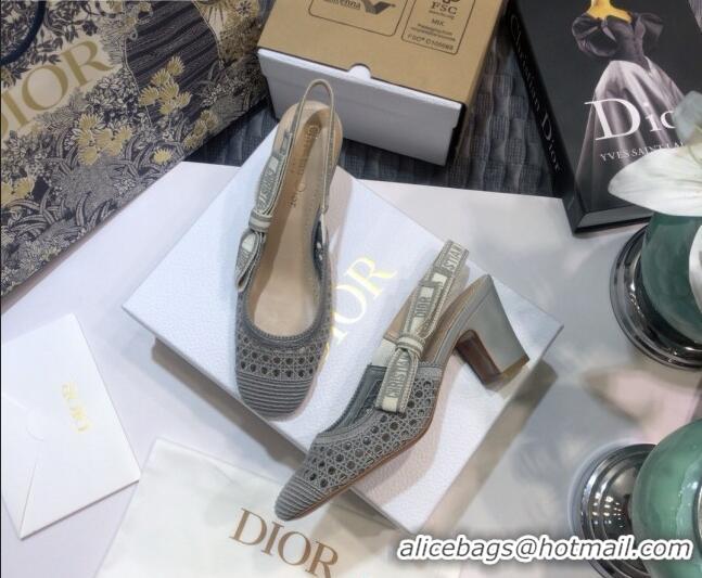 Super Quality Dior x Moi Slingback Pumps in Grey Cannage Embroidered Mes 012729