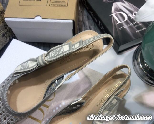 Super Quality Dior x Moi Slingback Pumps in Grey Cannage Embroidered Mes 012729