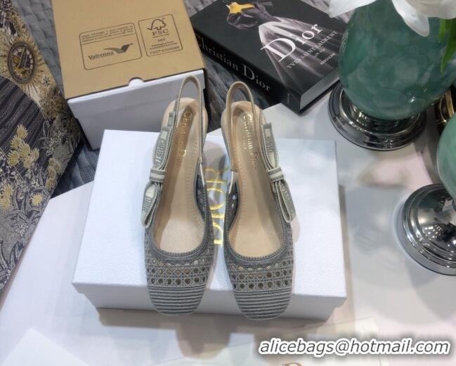 Super Quality Dior x Moi Slingback Pumps in Grey Cannage Embroidered Mes 012729