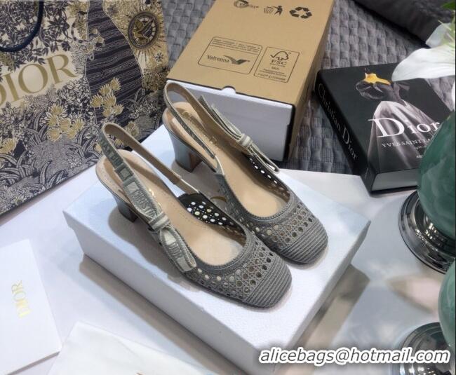 Super Quality Dior x Moi Slingback Pumps in Grey Cannage Embroidered Mes 012729