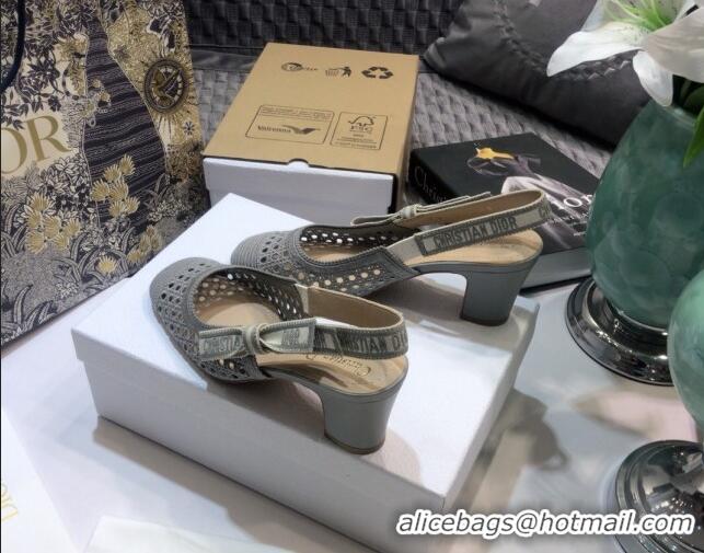 Super Quality Dior x Moi Slingback Pumps in Grey Cannage Embroidered Mes 012729