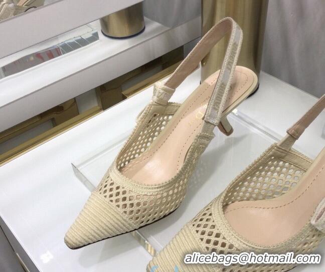 Perfect Dior J'Adior Slingback Pumps 6.5cm in Cream White Mesh Embroidery 022508