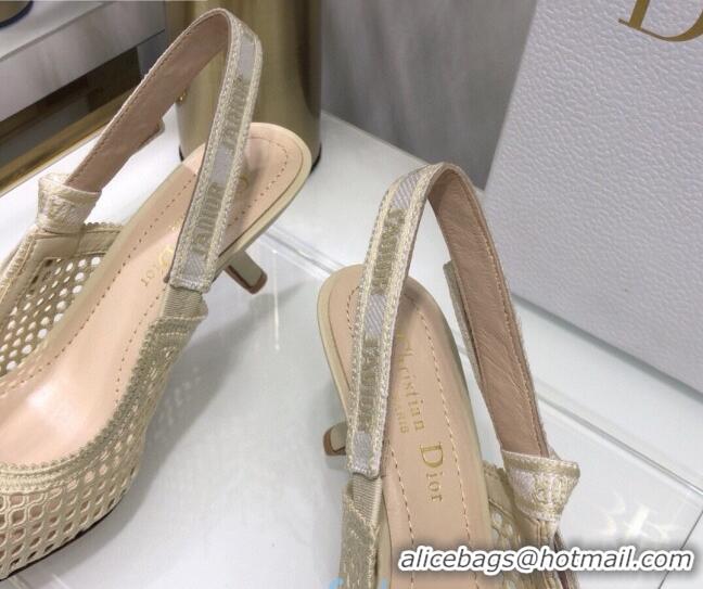 Perfect Dior J'Adior Slingback Pumps 6.5cm in Cream White Mesh Embroidery 022508