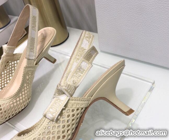 Perfect Dior J'Adior Slingback Pumps 6.5cm in Cream White Mesh Embroidery 022508