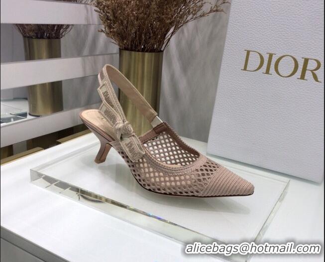 Good Quality Dior J'Adior Slingback Pumps 6.5cm in Nude Pink Mesh Embroidery 022511