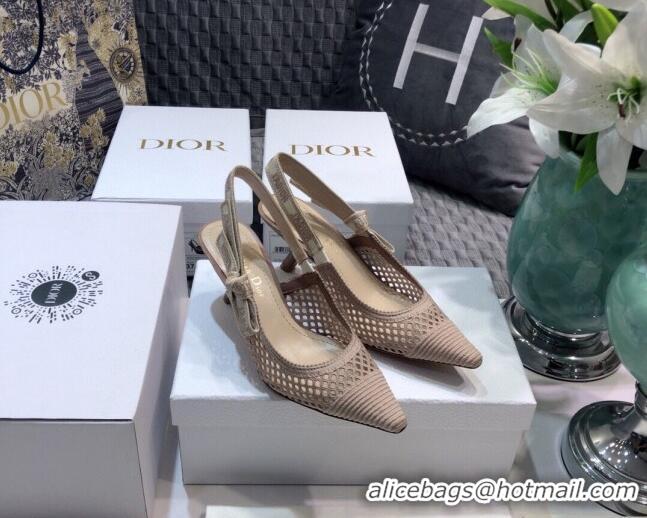 Good Quality Dior J'Adior Slingback Pumps 6.5cm in Nude Pink Mesh Embroidery 022511