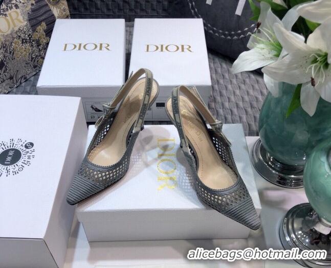 New Style Dior J'Adior Slingback Pumps 9.5cm in Grey Mesh Embroidery 022513