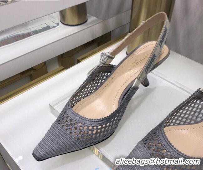 Low Price Dior J'Adior Slingback Pumps 6.5cm in Grey Mesh Embroidery 022514