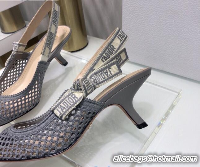 Low Price Dior J'Adior Slingback Pumps 6.5cm in Grey Mesh Embroidery 022514