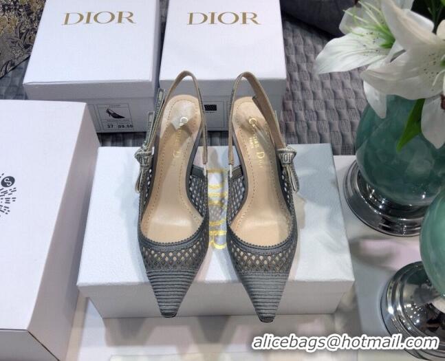 Low Price Dior J'Adior Slingback Pumps 6.5cm in Grey Mesh Embroidery 022514