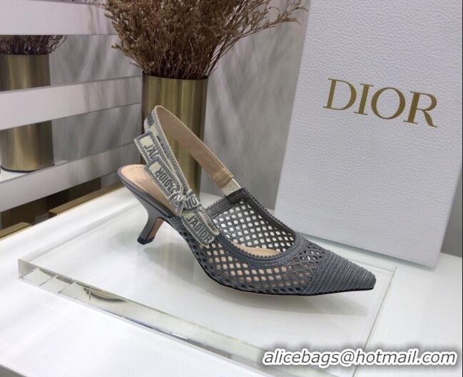 Low Price Dior J'Adior Slingback Pumps 6.5cm in Grey Mesh Embroidery 022514