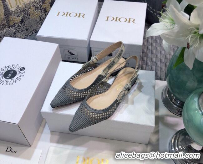 Best Price Dior J'Adior Slingback Ballerina Flat in Grey Mesh Embroidery 022515