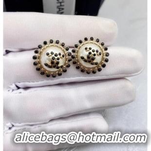 Particularly Recommended Chanel Earrings CE6282