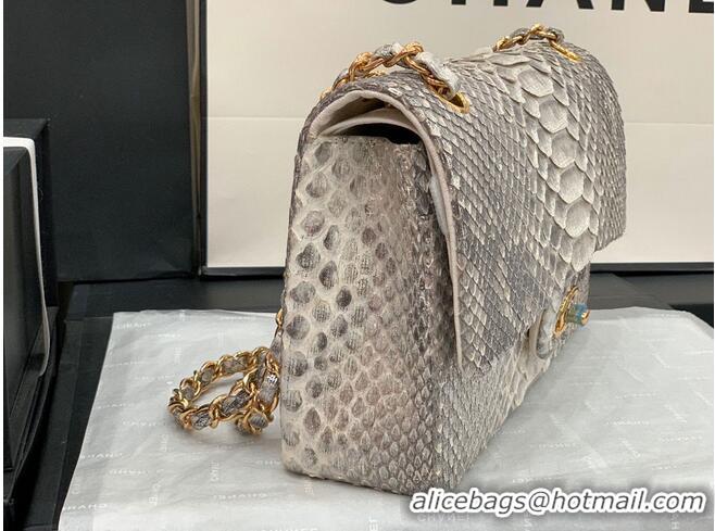 Grade Quality Chanel Classic Handbag Python Leather Silver A01112 Gold Hardware