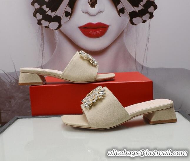 Perfect Roger Vivier Canvas Slide Sandals 3cm 030809 Beige