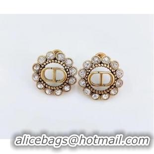 New Style Classic Dior Earrings CE6304