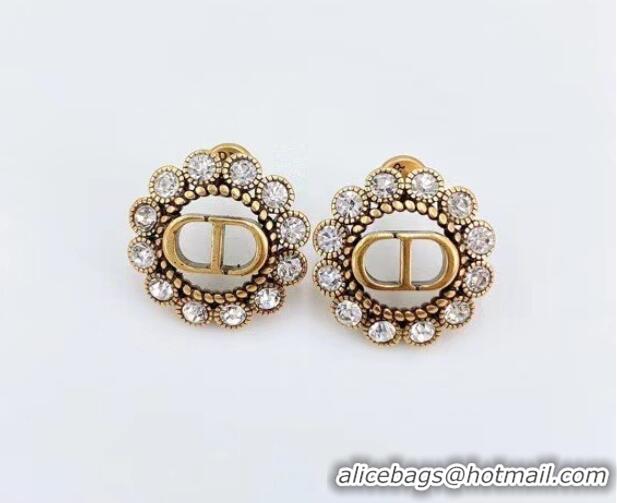 New Style Classic Dior Earrings CE6304