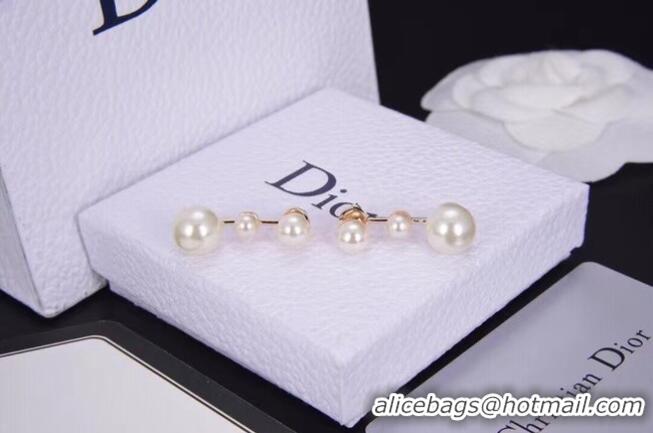  High Quality Design Dior Earrings CE6312