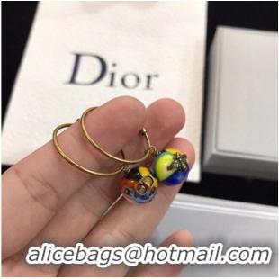 Buy Classic Dior Earrings CE6329