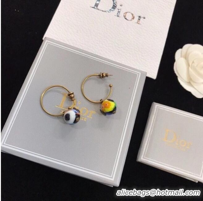 Buy Classic Dior Earrings CE6329