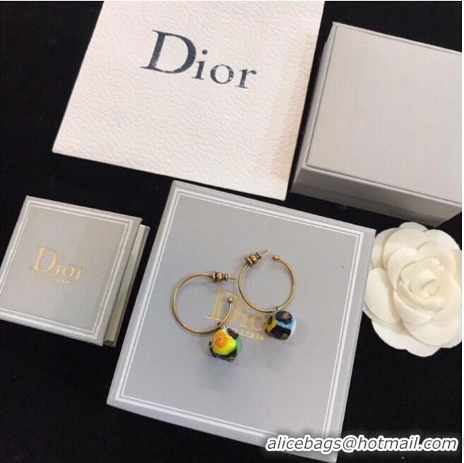 Buy Classic Dior Earrings CE6329