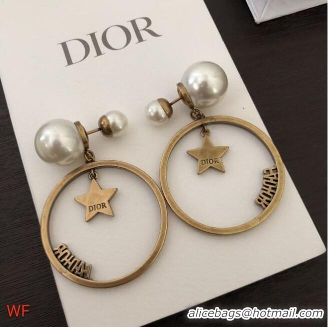 New Release Creation Dior Earrings CE6330