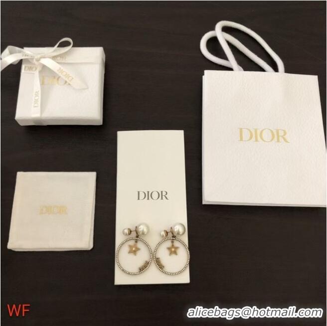 New Release Creation Dior Earrings CE6330