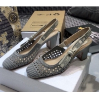 Super Quality Dior x Moi Slingback Pumps in Grey Cannage Embroidered Mes 012729