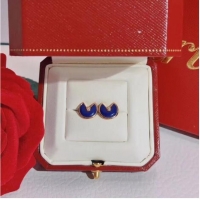 Hot Sell Promotional Cartier Earrings CE6589