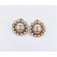 New Style Classic Dior Earrings CE6304