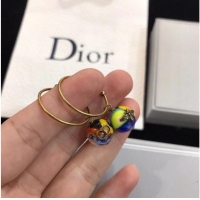 Buy Classic Dior Earrings CE6329