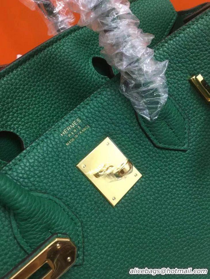 Top Quality Hermes Birkin 35 Bag In Leather With Gold Hardware 4200128 Green