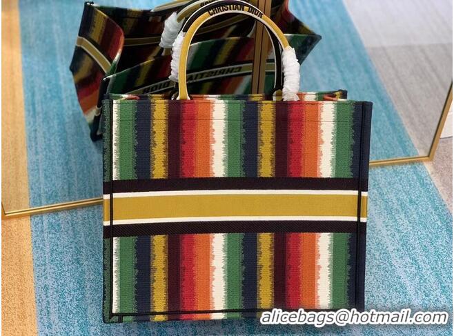 Trendy Design DIOR BOOK TOTE Multicolor D-Stripes Embroidery M1286Z