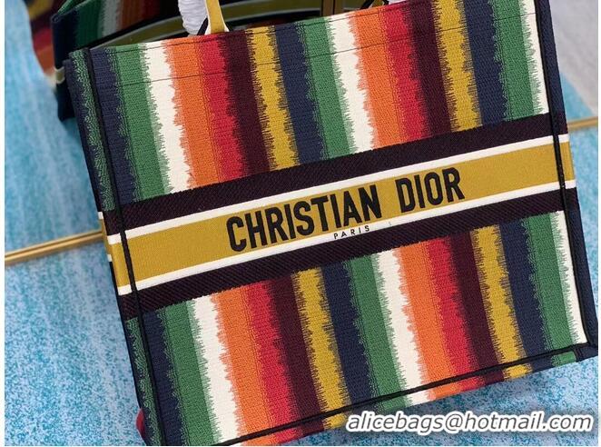 Trendy Design DIOR BOOK TOTE Multicolor D-Stripes Embroidery M1286Z