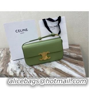 Top Design Celine TRIOMPHE SHOULDER BAG IN NATURAL CALFSKIN 194143 green